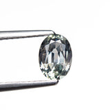 0.94ct 6.97x5.01x3.14mm Oval Brilliant Sapphire 26162-10 - Lelya - bespoke engagement and wedding rings made in Scotland, UK
