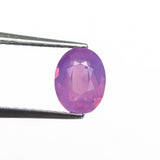 1.03ct 6.78x5.22x3.35mm Oval Brilliant Sapphire 28248-01 - Lelya - bespoke engagement and wedding rings made in Scotland, UK