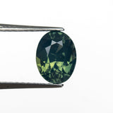 1.99ct 7.98x6.09x4.95mm Oval Brilliant Sapphire 28307-01 - Lelya - bespoke engagement and wedding rings made in Scotland, UK