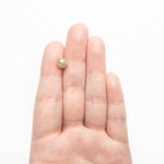 3.09ct 6.98x7.28x7.07mm Faceted Bead 26554 - 01 - Lelya - bespoke engagement and wedding rings made in Scotland, UK